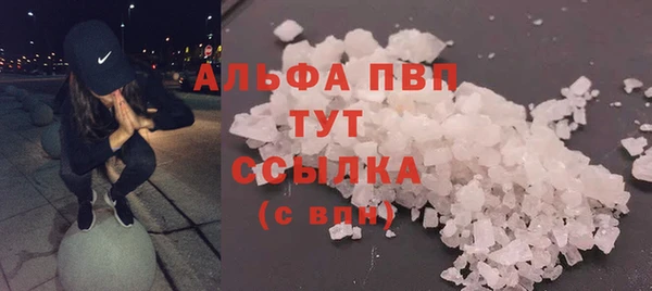 прущие крисы Магадан
