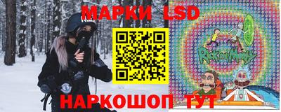 прущие грибы Абакан