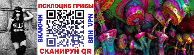 купить закладку  Абакан  Псилоцибиновые грибы Magic Shrooms 