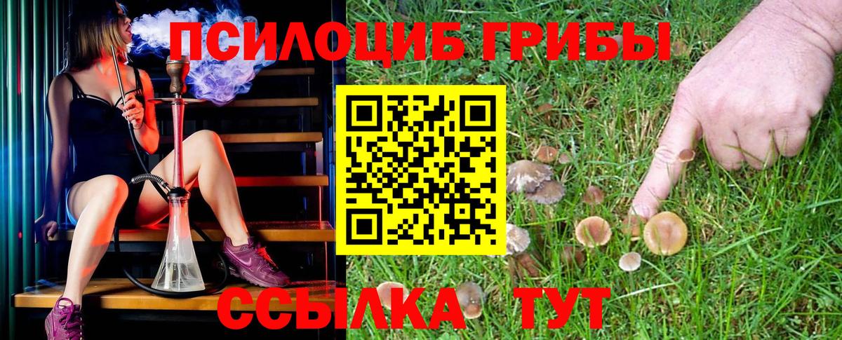 Псилоцибиновые грибы MAGIC MUSHROOMS  Вход с VPN  Абакан 