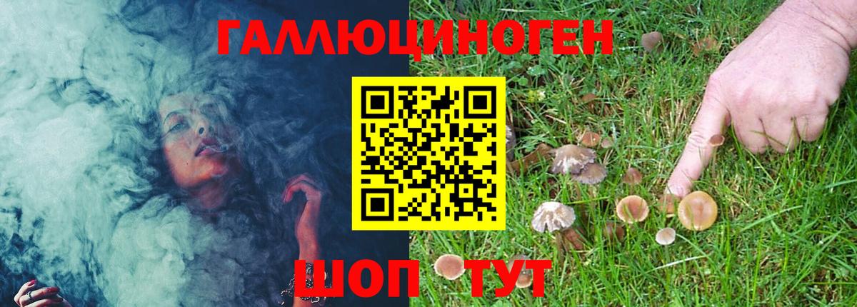 Галлюциногенные грибы мицелий Абакан
